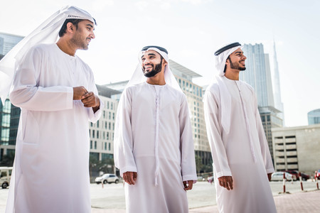 Delegation aus Arabischen Golfstaaten empfangen 79803508 s